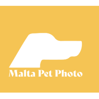 Malta Pet Photography Discounts - Online Entertainment Discounts & Offer on Coupon Club.mt - 10% Discount on ANY photo session package