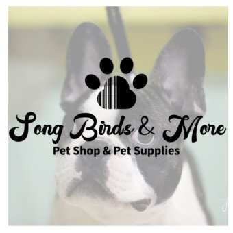 Song Birds & More Petshop  Deals - Zurrieq Shopping Discounts & Offer on Coupon Club.mt - Free Pack of Treats when Spending €50 or more